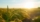 detail-rice-plant-sunset-valencia-with-plantation-out-focus-rice-grains-plant-seed